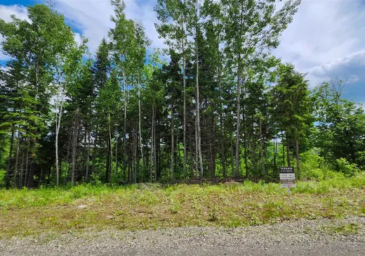 Terrain à vendre -  Ch. des Belvédères, Auclair, G0L1A0