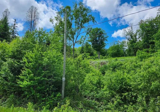 Terrain à vendre -  Ch. des Belvédères, Auclair, G0L 1A0