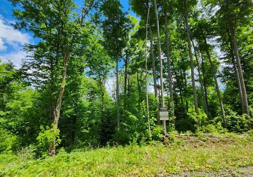 Terrain à vendre -  Ch. des Belvédères, Auclair, G0L1A0