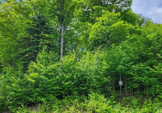 Land for Sale -  Ch. des Belvédères, Auclair, G0L 1A0
