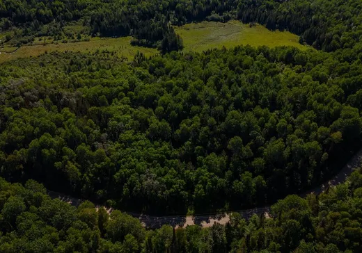 Terrain à vendre -  Ch. Lamoureux, Grand-Remous, J0W 1E0