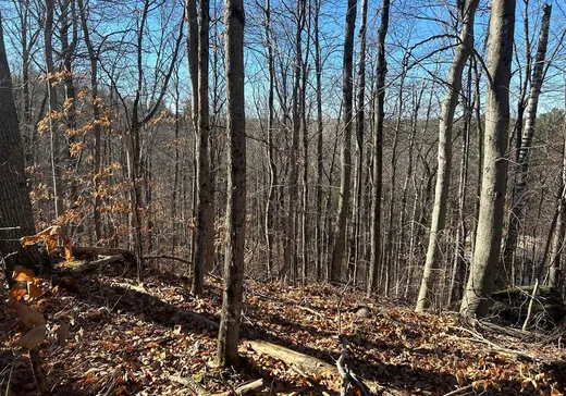 Terrain à vendre - 13 Rue de Gstaad, Gatineau, J0X1Z0