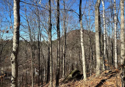 Terrain à vendre - 13 Rue de Gstaad, Gatineau, J0X 1Z0