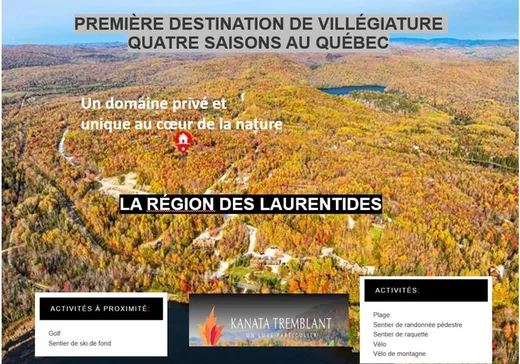 Terrain à vendre -  Ch. Georges-Brossard, St-Remi-D'Amherst, J0T2L0