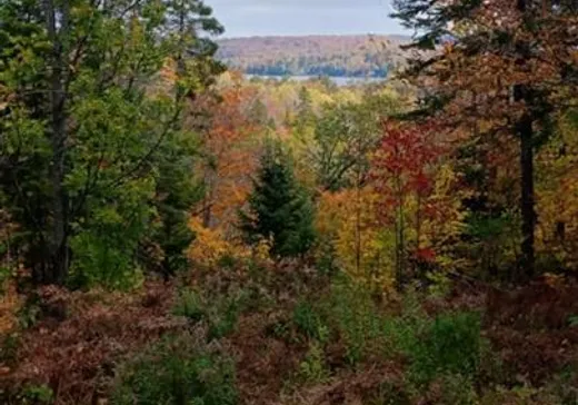 Land for Sale -  Rue du Sentier-du-Carcajou, Sainte-Marguerite-du-Lac-Masson, J0T 1L0