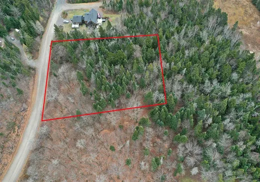Land for sale -  Ch. du Hibou, Val Morin, J0T2R0