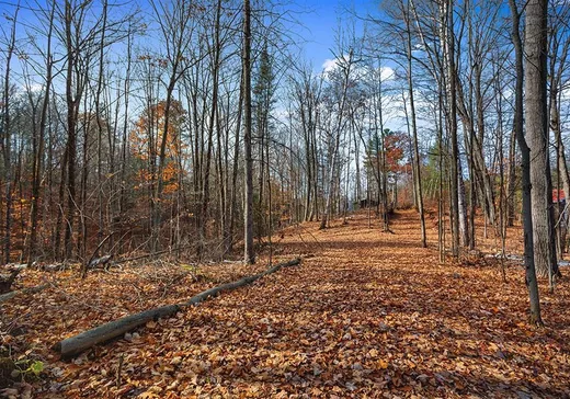 Terrain à vendre - 10C Ch. York, Shawville, J0X 2Y0