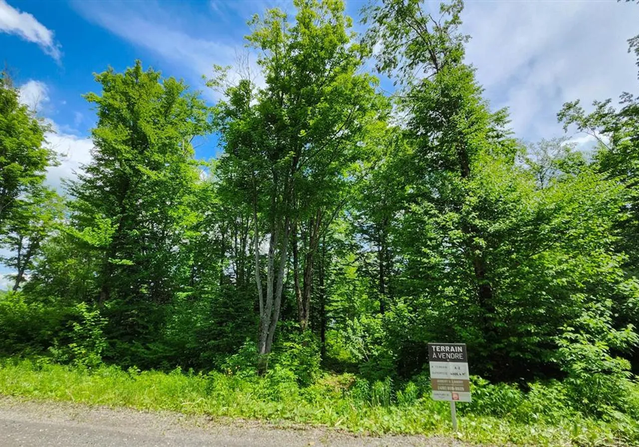 Terrain à vendre -  Ch. des Belvédères, Auclair, G0L 1A0