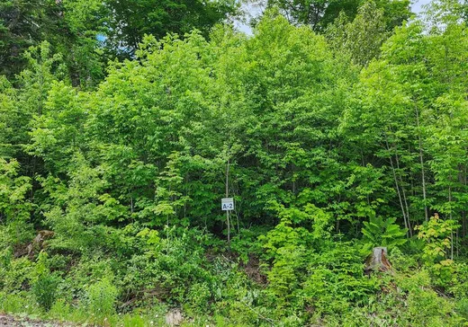 Terrain à vendre -  Ch. des Belvédères, Auclair, G0L 1A0