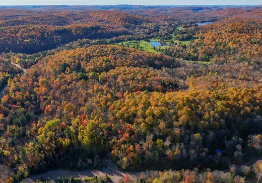 Terrain à vendre -  Ch. d'Eupen, Brownsburg-Chatham, J8G 2N7