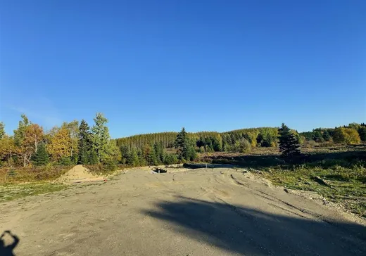Terrain à vendre - 43 Rue de l'Église, Saint-Honoré-de-Témiscouata, G0L 3K0