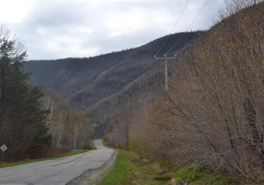 Terrain à vendre -  Route Louis-Ouellet, L'Anse-Pleureuse, G0E1V0