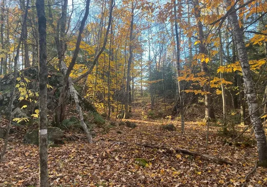 Land for Sale -  Route Principale, Gatineau, J8N 2K3