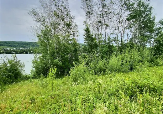 Land for Sale - 300 Ch. du Lac N., Saint-Mathieu-de-Rioux, G0L 3T0