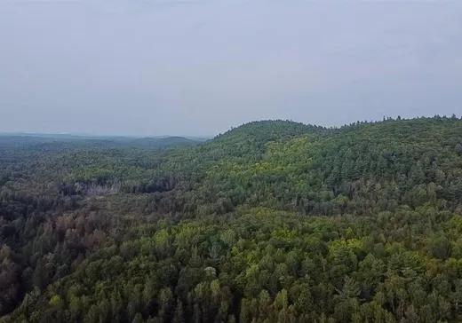 Land for Sale -  Ch. Harrisson, Danford Lake, J0X 1P0