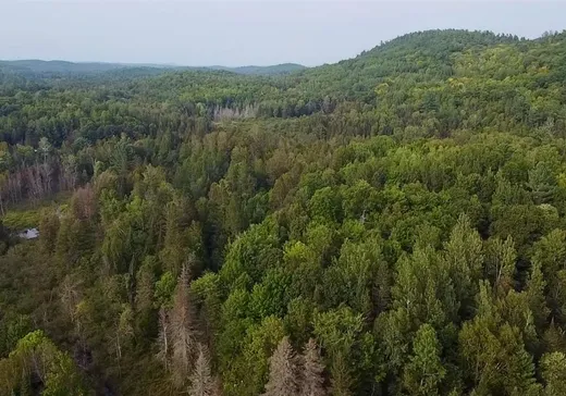 Terrain à vendre -  Ch. Harrisson, Danford Lake, J0X 1P0