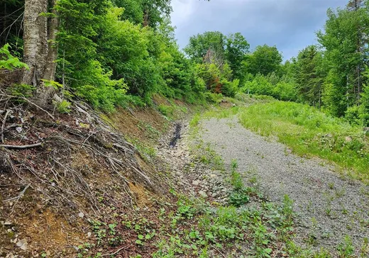 Terrain à vendre -  Ch. des Belvédères, Auclair, G0L 1A0