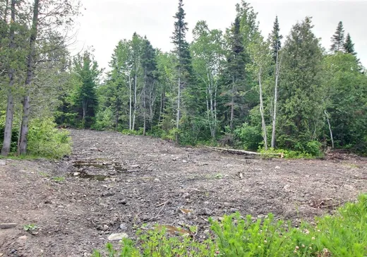 Terrain à vendre -  Rue des Châtaignes, Saint-Antonin, G0L2J0