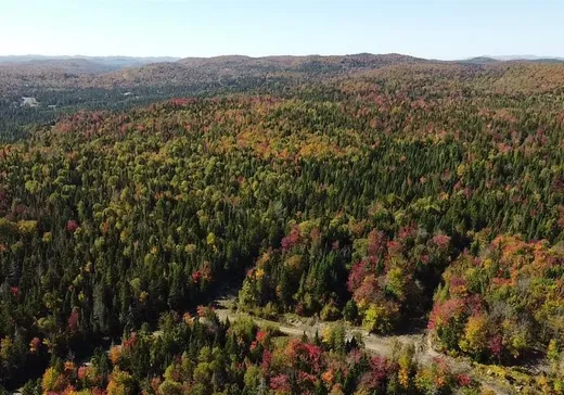 Terrain à vendre -  Rue du Guetteur, Sainte-Marguerite-du-Lac-Masson, J0T1L0