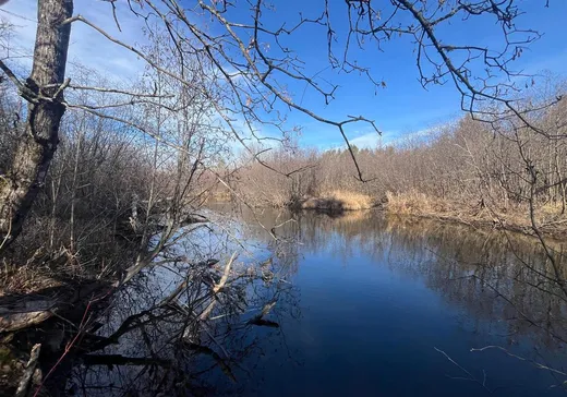 Land for sale -  Ch. Wesley, Shawville, J0X2Y0