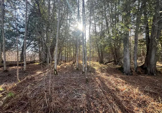 Land for Sale -  Ch. Wesley, Shawville, J0X 2Y0