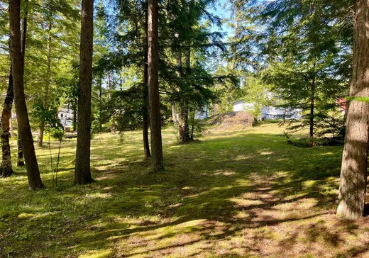 Terrain à vendre -  Rue Centrale, Magog, J1X0M9