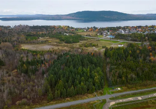 Terrain à vendre -  Route 232 E., Témiscouata-sur-le-Lac, G0L 1E0