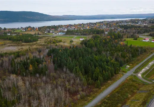 Terrain à vendre -  Route 232 E., Témiscouata-sur-le-Lac, G0L 1E0