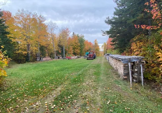 Land for sale - 177 Route du Ruisseau-Gagnon, Matane, G0J3H0