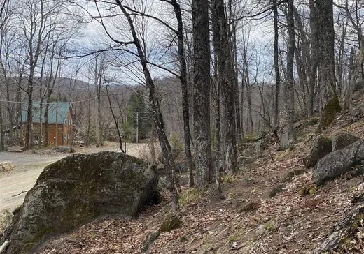 Land for Sale -  Ch. Mountain, St-Adolphe d'Howard, J0T 2B0
