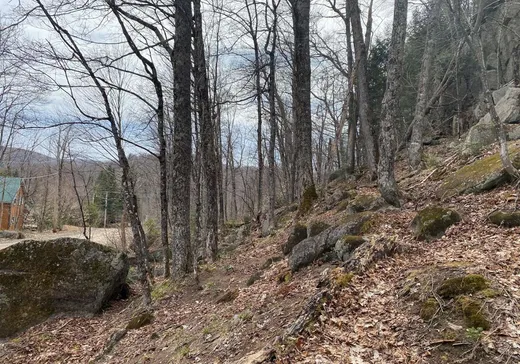 Land for Sale -  Ch. Mountain, St-Adolphe d'Howard, J0T 2B0