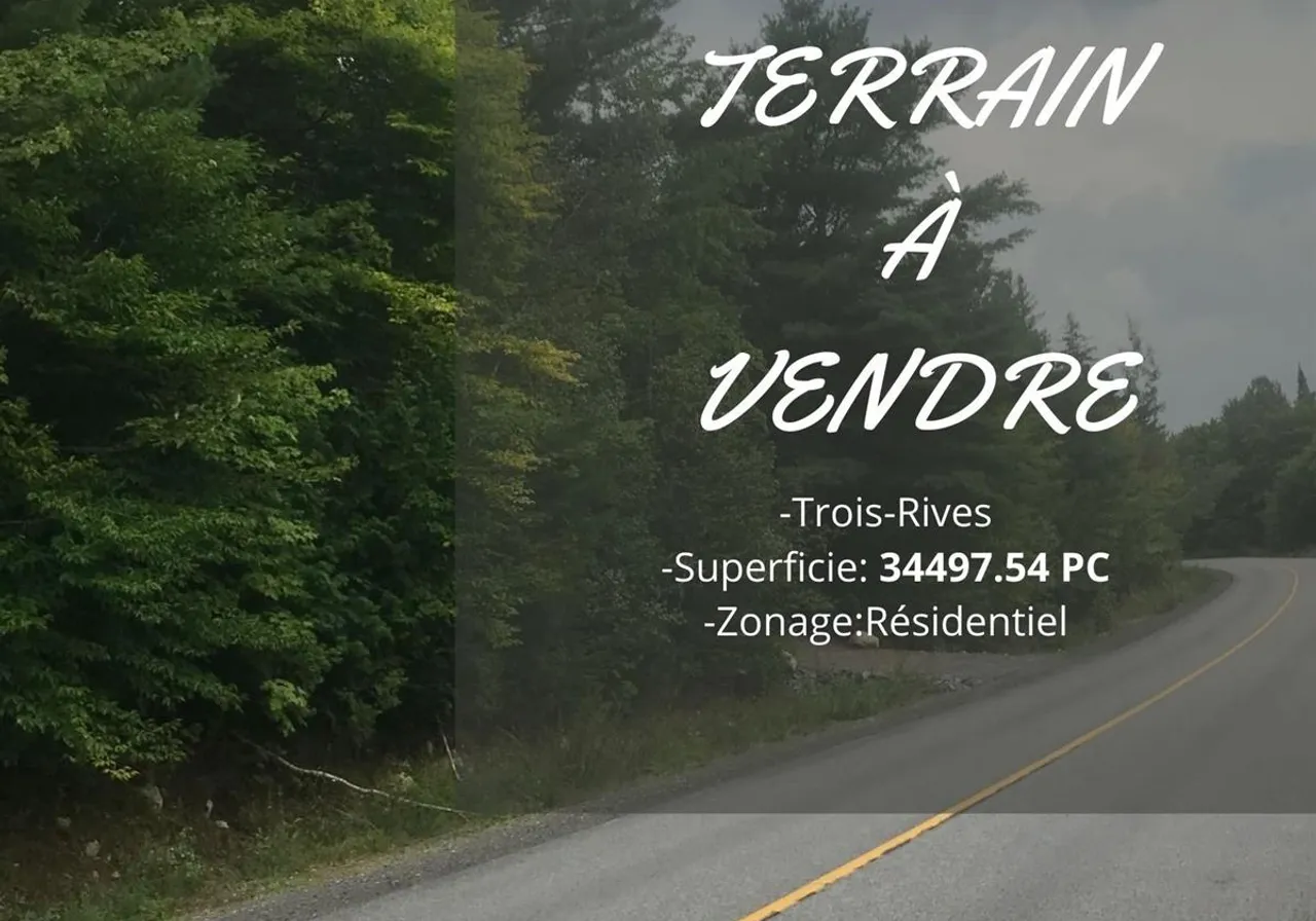 Terrain à vendre -  Ch. des Bêtes-Puantes, Trois-Rives, G0X 2C0