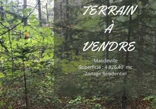 Terrain à vendre -  Rue Mailloux, Mandeville, J0K1L0