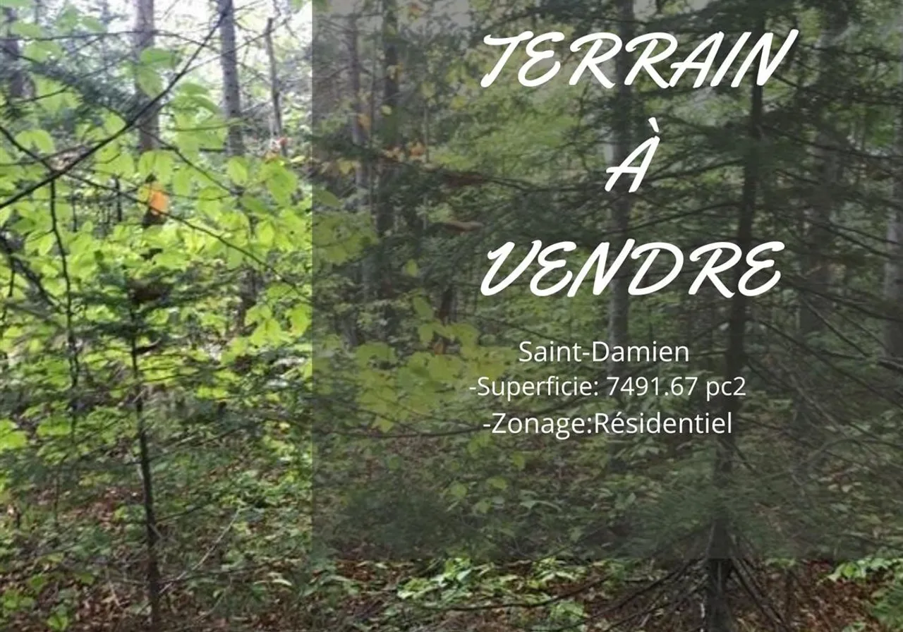 Terrain à vendre - 3177 Ch. du Ruisseau, Saint-Damien, J0K 2E0