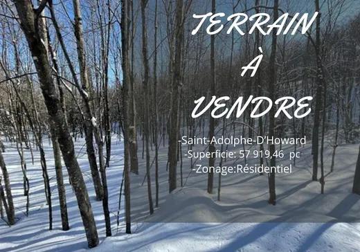 Land for sale - 117 Ch. des Dolomites, St-Adolphe d'Howard, J0T2B0