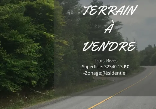 Terrain à vendre -  Ch. des Bêtes-Puantes, Trois-Rives, G0X2C0