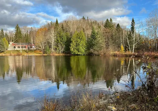 Land for Sale -  Ch. Ringuette, Lac-Saguay, J0W 1L0