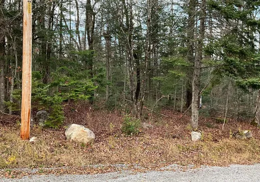 Land for Sale -  Ch. Ringuette, Lac-Saguay, J0W 1L0