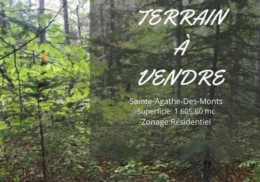 Terrain à vendre -  Ch. du Lac-Pearl, Sainte-Agathe-des-Monts, J8C2Z7