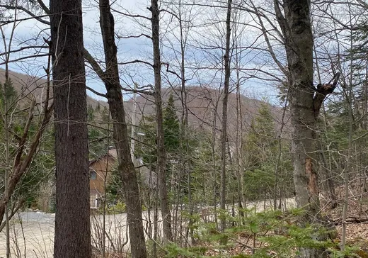 Land for sale -  Ch. des Bouleaux, St-Adolphe d'Howard, J0T2B0