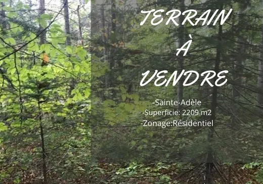 Terrain à vendre -  Ch. du Lac-Renaud, Sainte-Adèle, J8B2T6