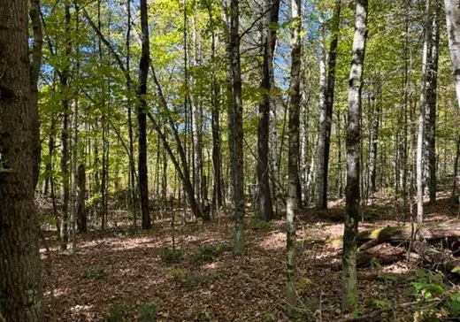 Terrain à vendre - 4860 Route 315, Buckingham, J8L 4E4
