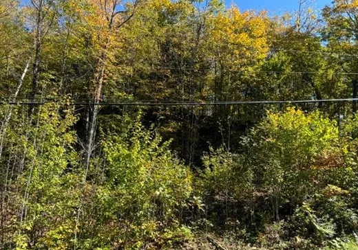 Terrain à vendre - 4860 Route 315, Buckingham, J8L 4E4