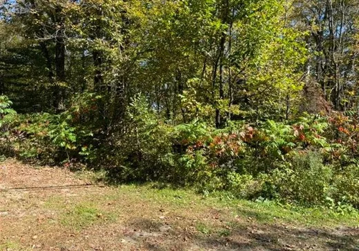 Terrain à vendre - 4860 Route 315, Buckingham, J8L 4E4