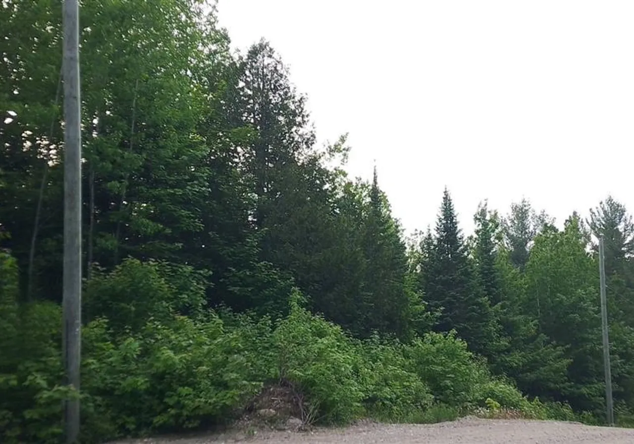 Land for Sale -  Rue du Cabernet, Chertsey, J0K 3K0