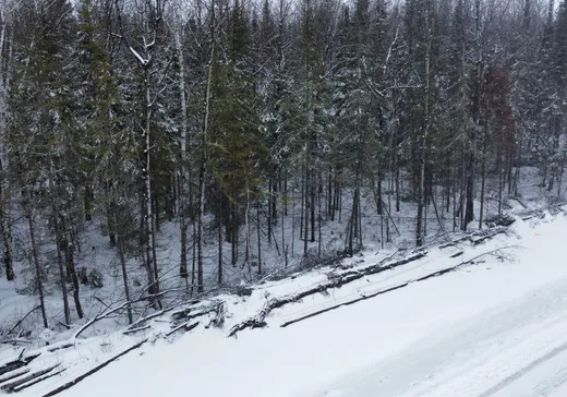 Terrain à vendre - 36 Rue Groleau, Val-d'Or, J9P4P5