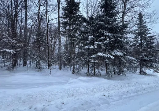 Land for Sale -  Rue du Sentier-du-Loup, Sainte-Marguerite-du-Lac-Masson, J0T 1L0