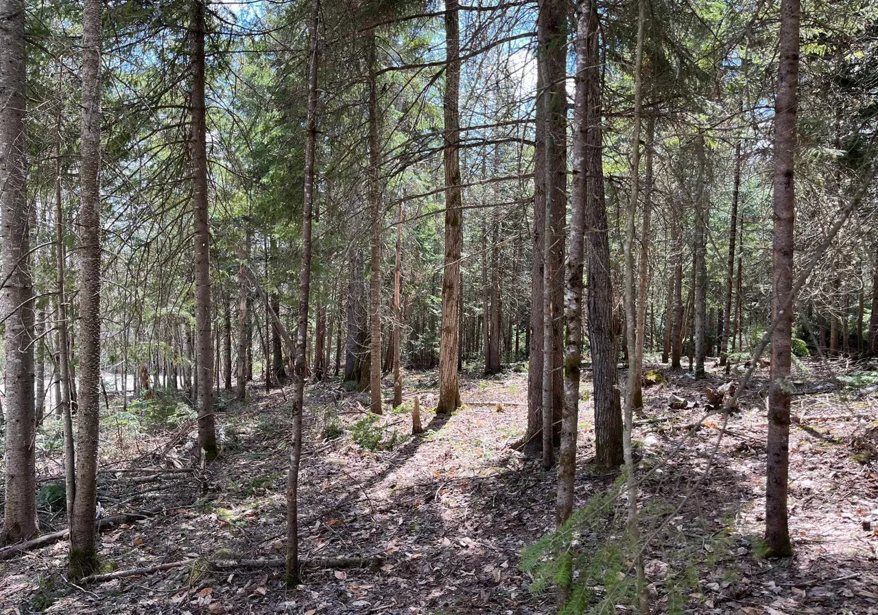 Terrain à vendre - 7 Rang (7e), Val David, J0T 2N0