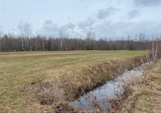 Terrain à vendre -  Rue Tessier, Sainte-Sophie-de-Lévrard, G0X 3C0