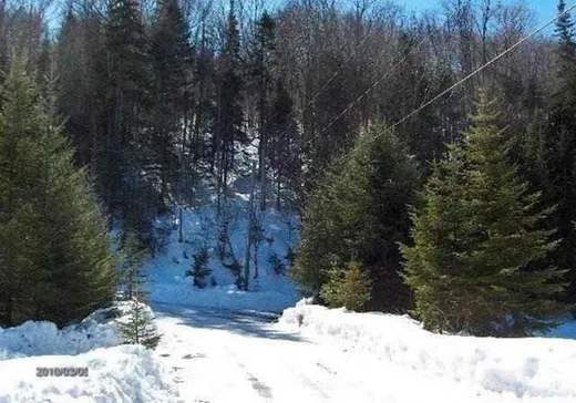 Land for sale -  Ch. Gémont, St-Adolphe d'Howard, J0T2B0